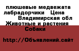 плюшевые медвежата лабрадорчики › Цена ­ 25 000 - Владимирская обл. Животные и растения » Собаки   